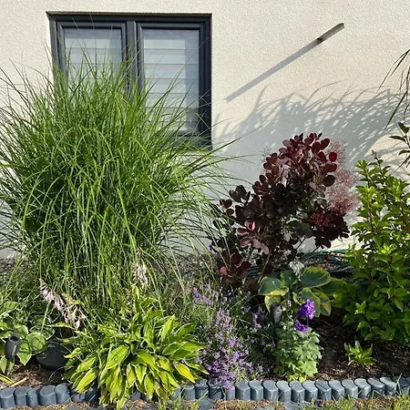 Nadmorski Zakatek אכסניה