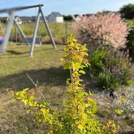 Nadmorski Zakatek אכסניה וובה